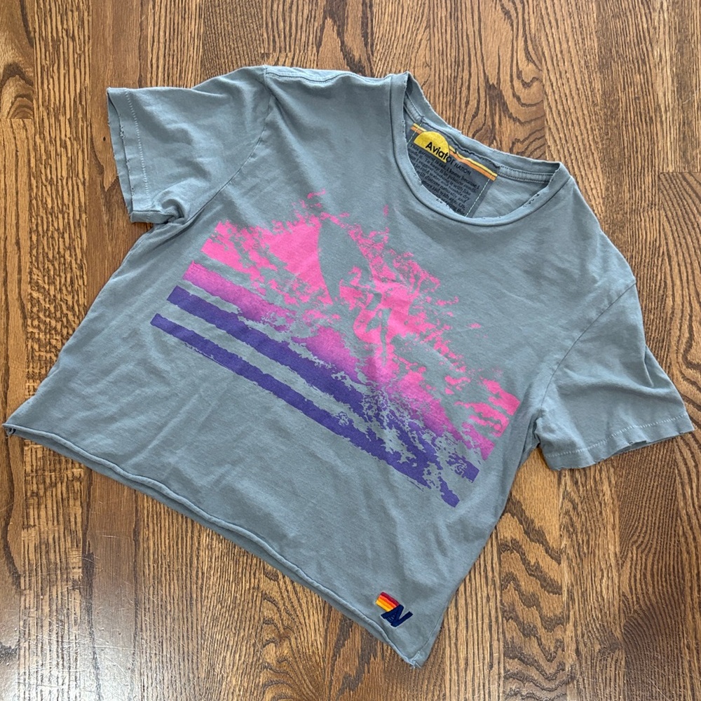 Aviator Nation Gray and Pink Crop Top